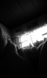 (untitled)