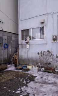 (untitled)