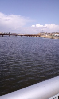 (untitled)