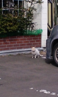 (untitled)