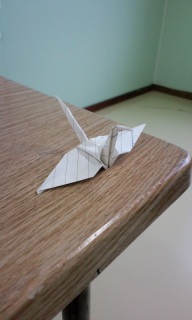 (untitled)