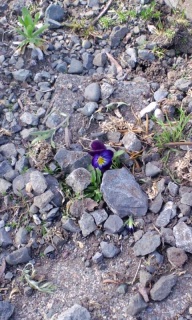 (untitled)