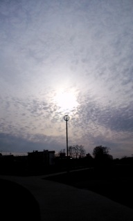 (untitled)