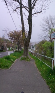 (untitled)