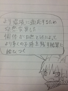 (untitled)