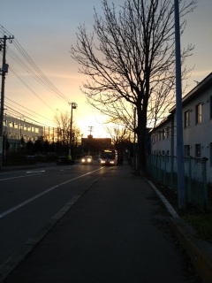 (untitled)